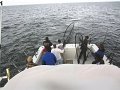 BillC pix_IMG_0123